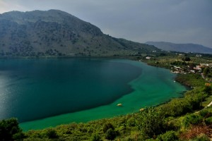 image10 (1)